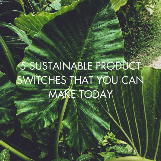 5 Sustainable Product Switches That You Can Make Today