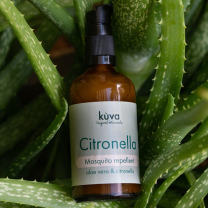 "Citronella"  -  Natural gel-based Mosquito Repellent - Citronella oil & Aloe gel